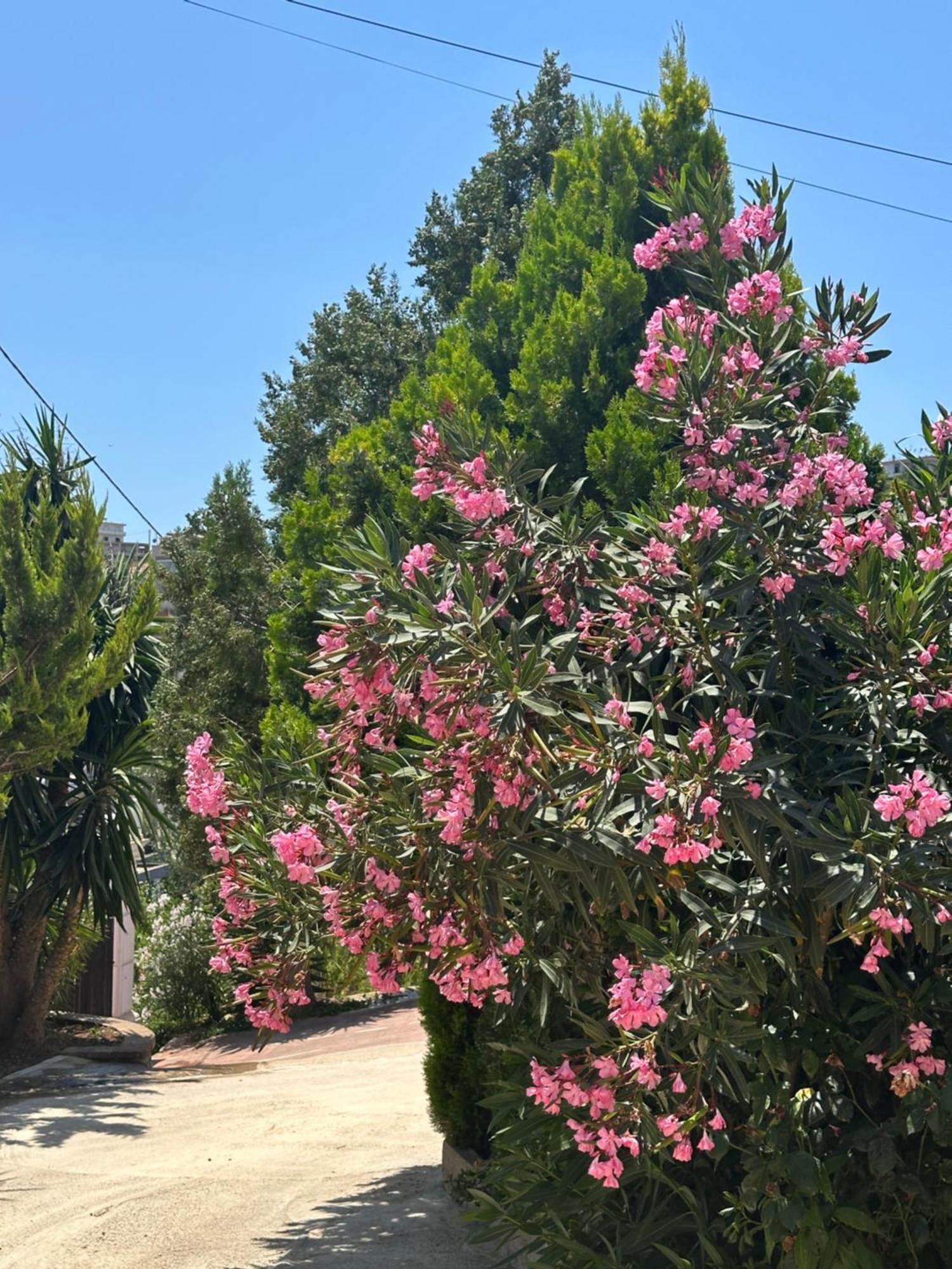 Panoramic Views Of Saranda Apartment Luaran gambar